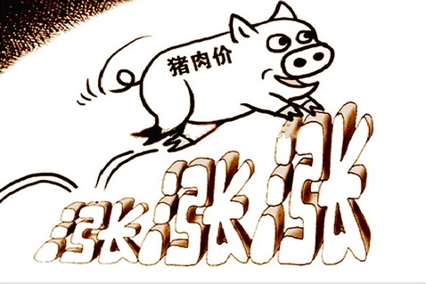 月薪2万招聘养猪,猪在2019年猪真的飞天啦！